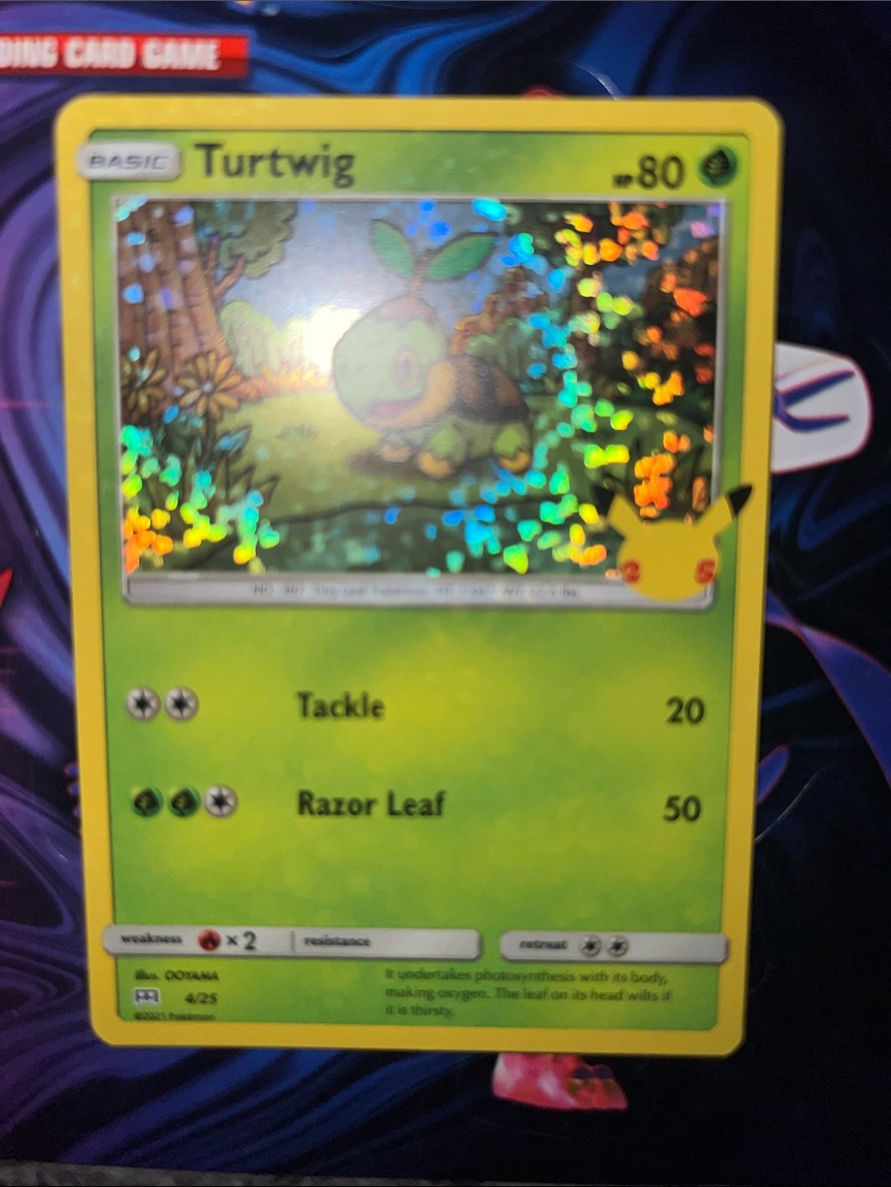 Pokemon Holographic Turtwig Card - Green, Yellow
